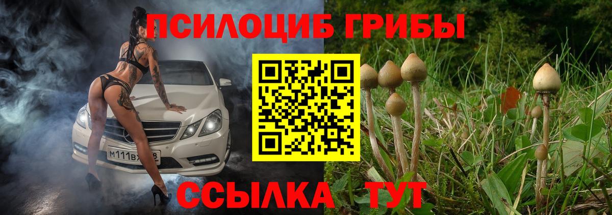 Галлюциногенные грибы мухоморы Юрга